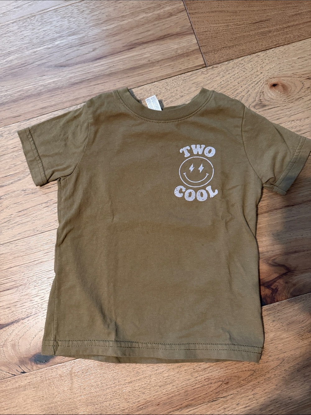 Rabbit Skins Coyote Brown "Two Cool" 2nd birthday Graphic Tee